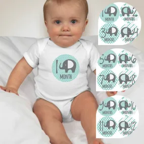 Baby Custom Monthly Onesies -Blue Elephants